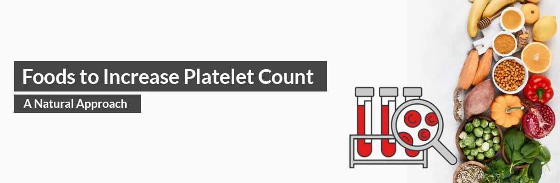 Foods To Increase Platelet Count A Natural Approach